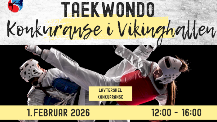 Taekwondo Konkuranse i Vikinghallen