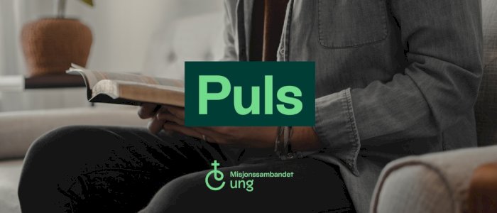 PULS smaken av retreat, 22. - 25. januar
