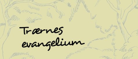 Trærnes evangelium - temadag om Gud og naturen