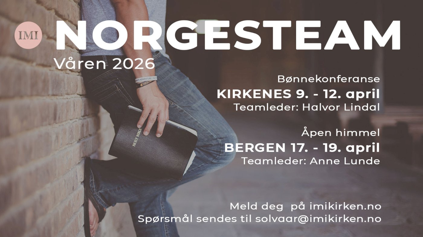 NORGESTEAM