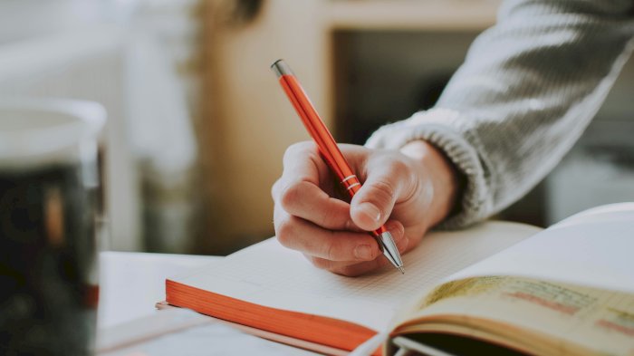 Kurs: Lærer i verden