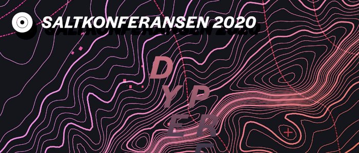Saltkonferansen Skien 2020
