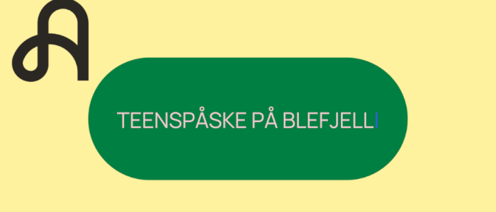 Teens Påskeleir på Blefjell