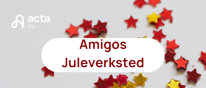 Amigos: Juleverksted - leir på Fossheim
