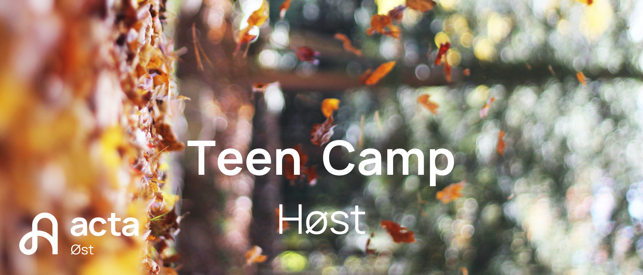 TeenCamp Høst 2023
