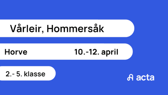 Vårleir, Hommersåk 2026