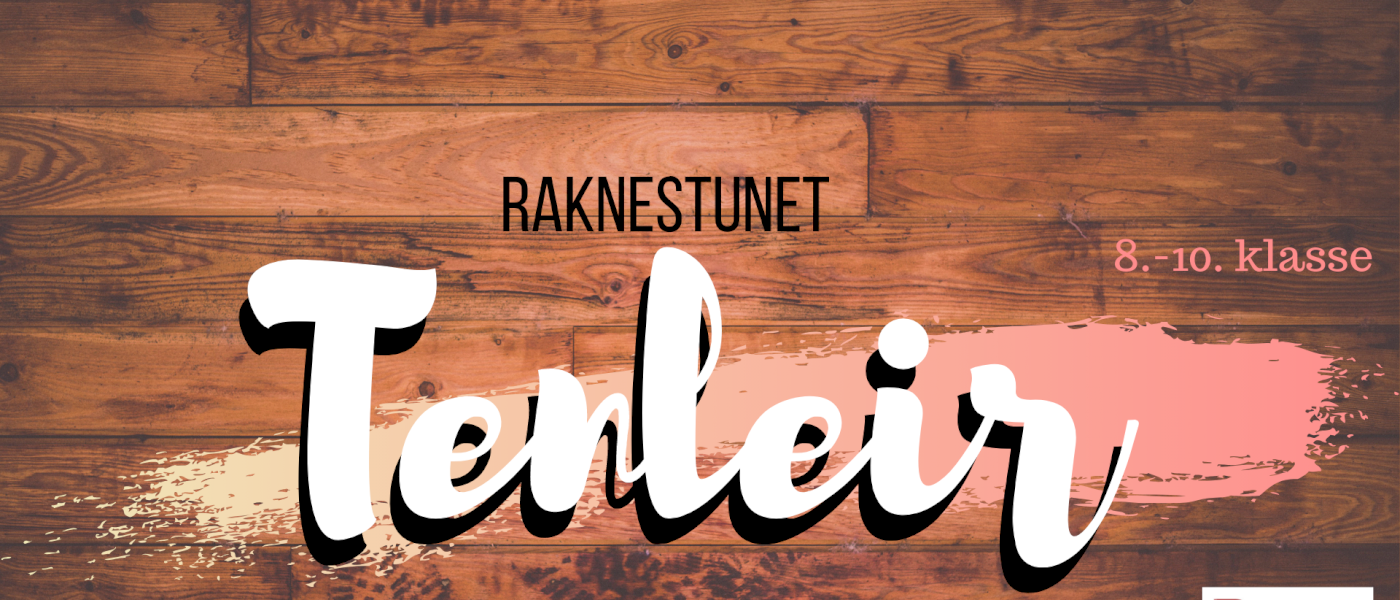 Tenleir på Raknestunet