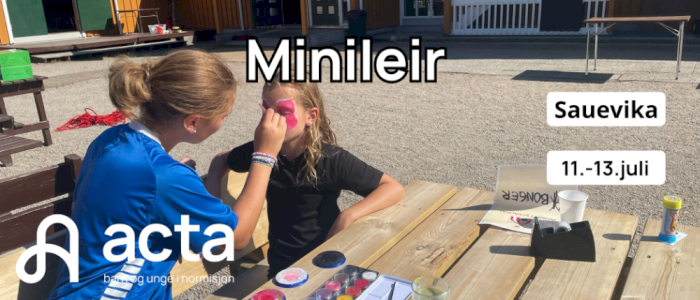 Minileir 2025 på Sauevika