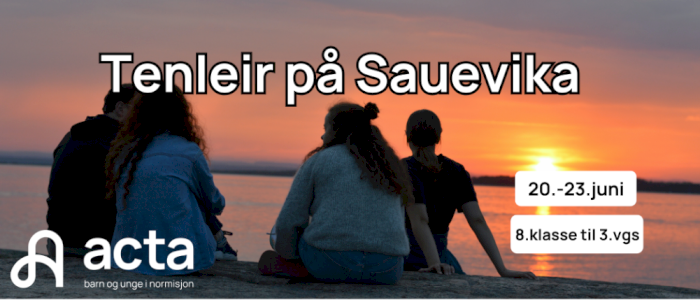 Tenleir 2025 - Sauevika