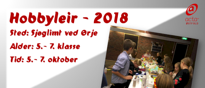 Hobbyleir 2018