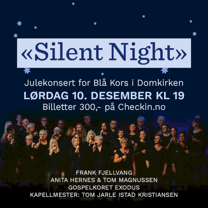 Julekonsert for Blå Kors Kristiansand i Domkirken