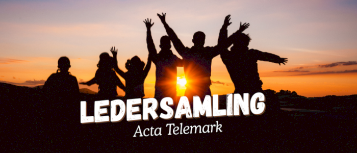 Ledersamling nr.1 2025