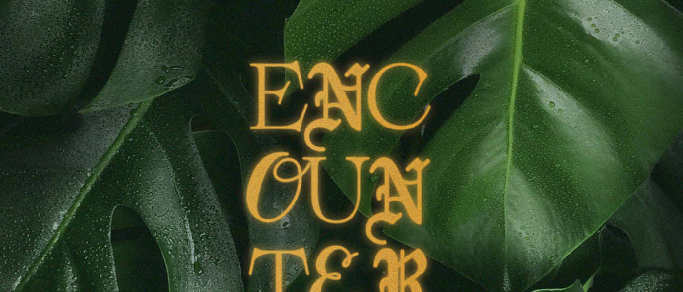 Encounter - Menighetsweekend