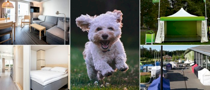 Norsk Kennel Klub Stand - Sandefjord juli 2025