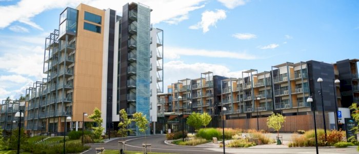 Discgolf Endgame 2025