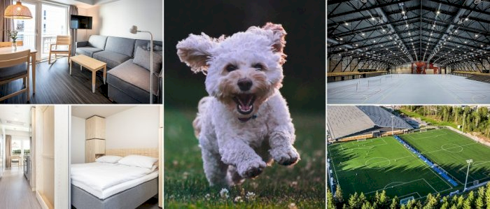 Norsk Kennel Klub - overnatting Februar 2026