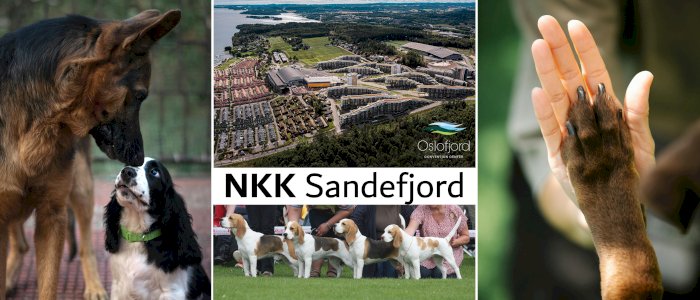 Norsk Kennel Klub Sommer 2026 - Overnatting