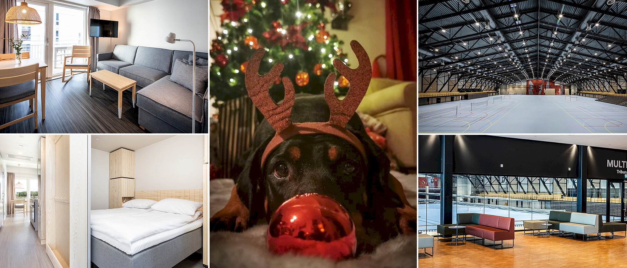 Norsk Dobermann Klub 16.- 18. Desember 2022  -  Overnatting og bevertning 