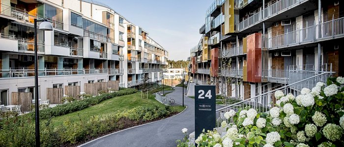 EM i Cheer 2024 - Publikumsovernatting for klubber