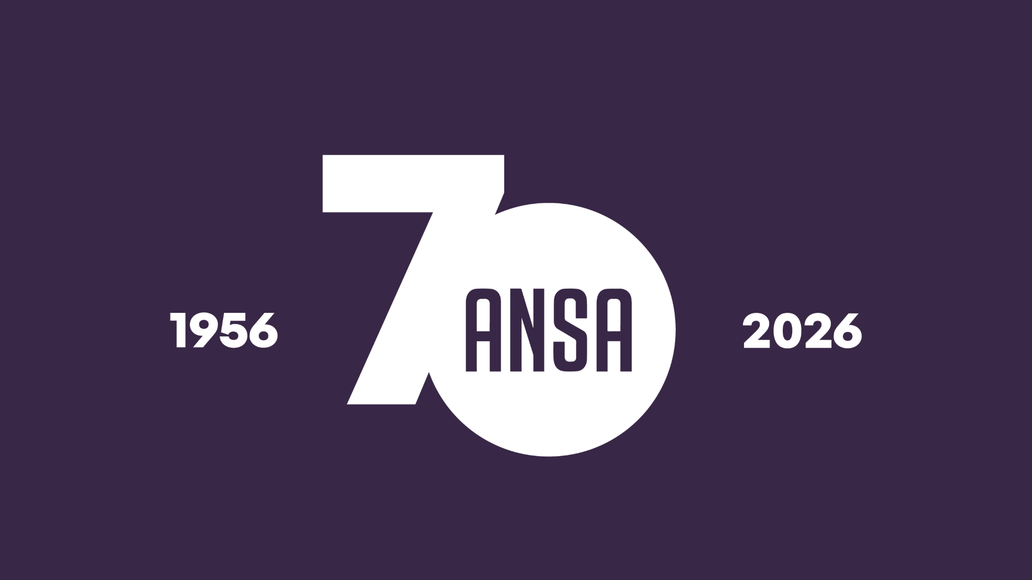 ANSA Sør-Afrika Sommerfest