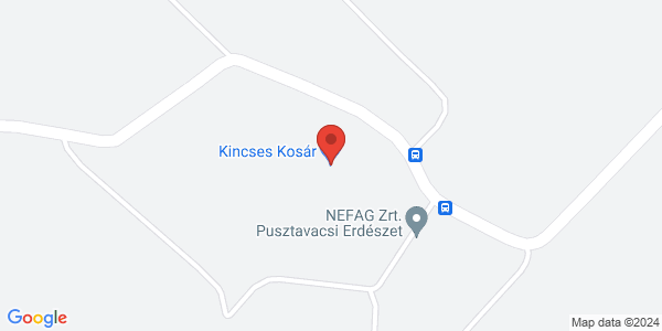 Map displaying event location