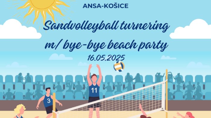 Bye-Bye Beach Party + Volleyball ANSA 2025
