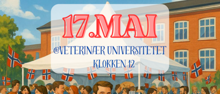 17. Mai feiring 2025 m/ ANSA Kosice