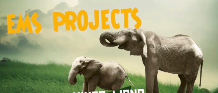 Vets and wildlife