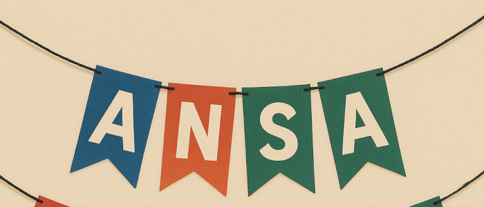 ANSA2526 - Kickoff