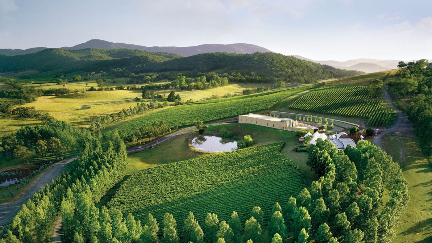 Kulturell dagstur til Yarra Valley