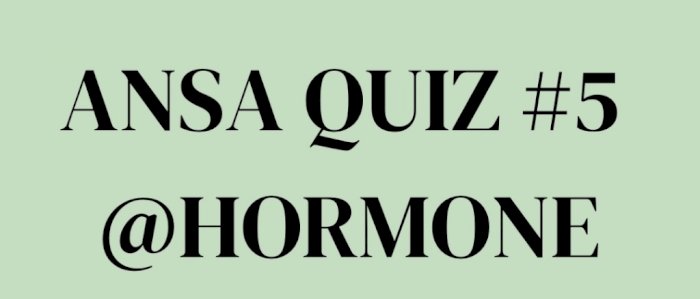 ANSA Szczecin quiz #5