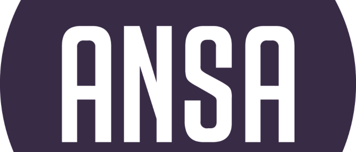 Årsmøte ANSA Praha, 2025