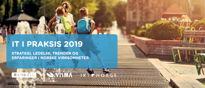 IT i praksis 2019 - Norges digitale tilstand