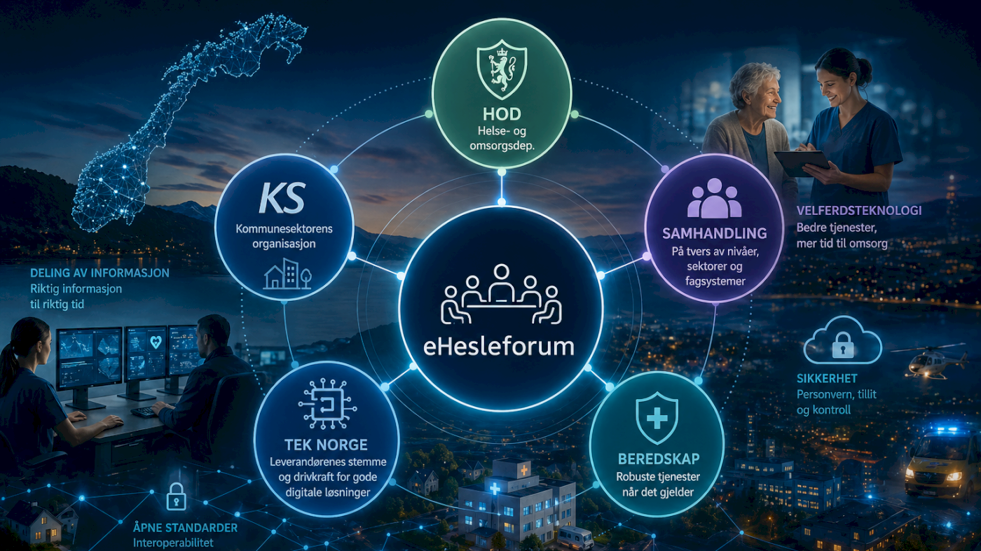 ehelseforum - Sommeravslutning