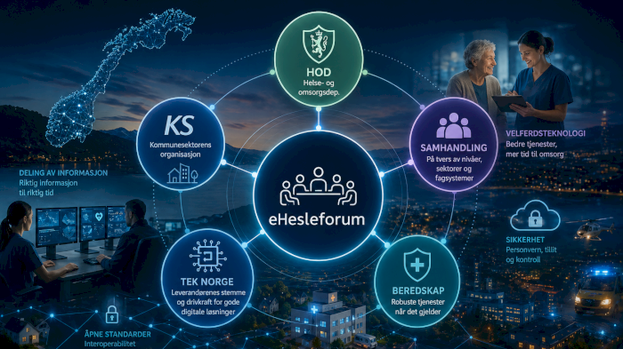 ehelseforum -  Sommeravslutning