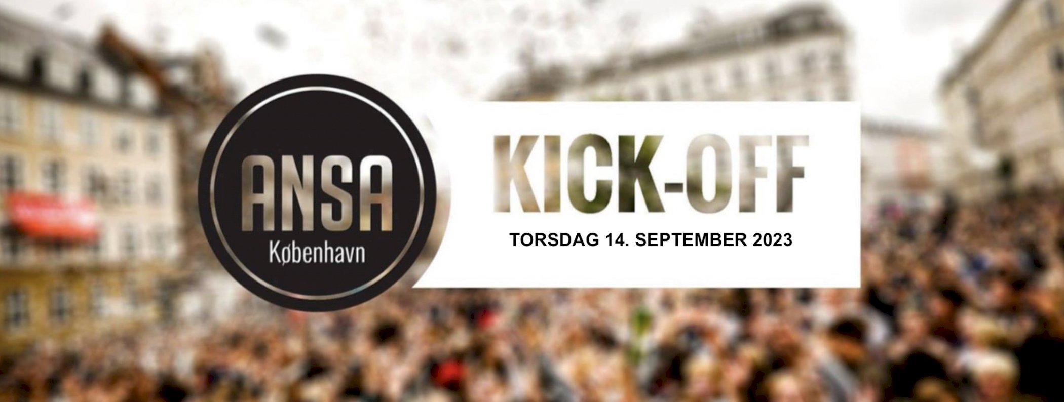 ANSA Kick-off 2023