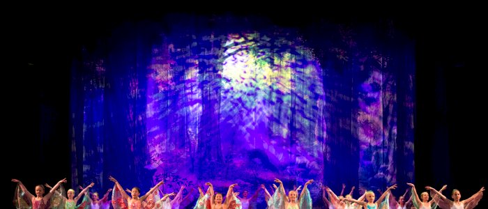 Ballettforestilling - 2. november 2019 kl 13-1345
