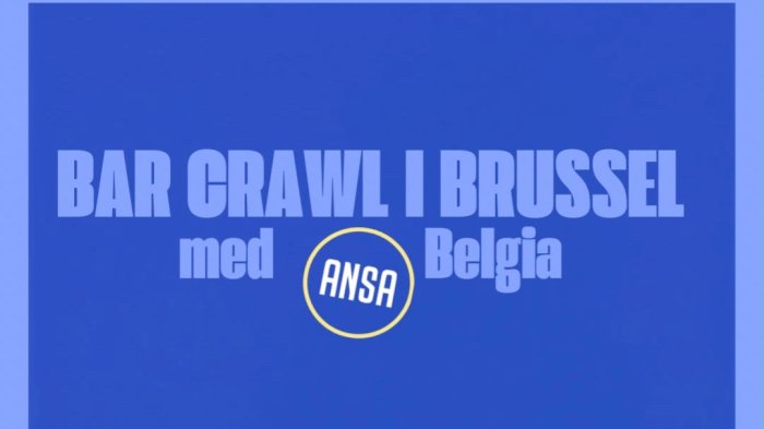 Bar crawl i Brussel