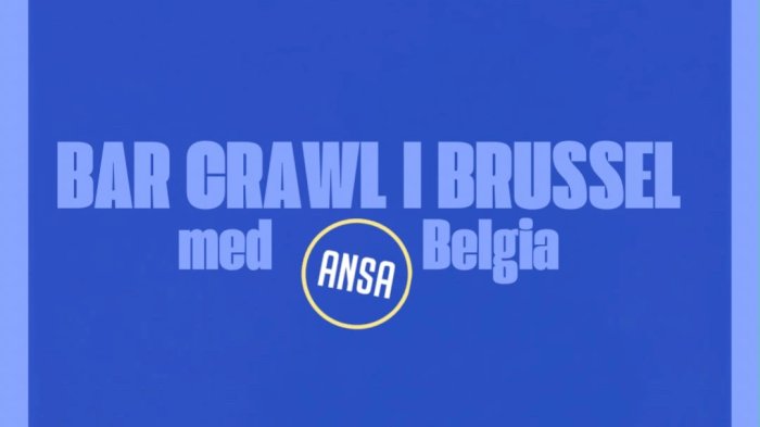 Bar crawl i Brussel