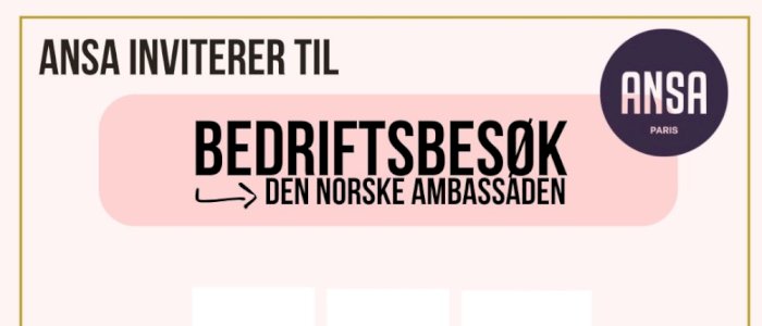 Bedriftsbesøk til Norges Ambassade i Paris🇳🇴