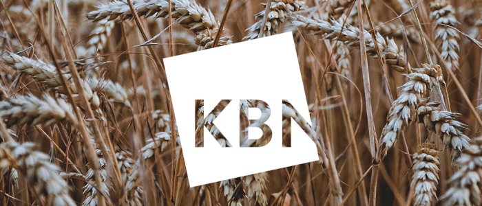 Makro- & KBN Finanswebinar