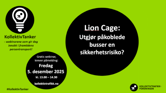 Webinar: Lion Cage