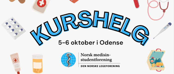 Kurshelg i Odense