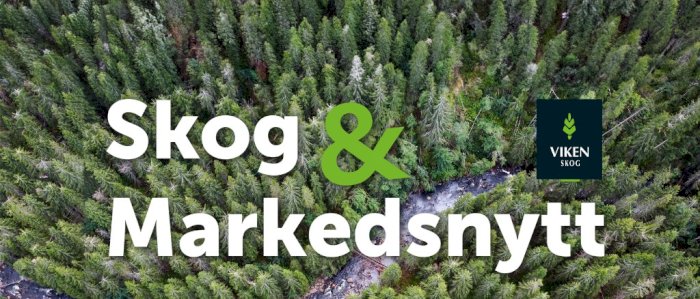 Skog & Markedsnytt