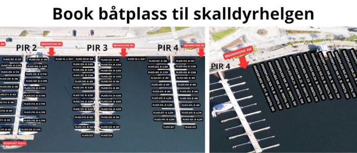 Skalldyrfestivalen - Vip båtplass