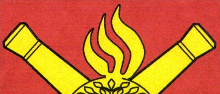 Sikkerhetskurs saluttering