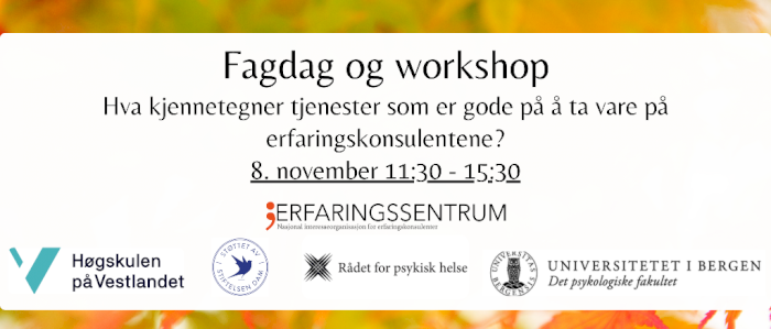 Fagdag med workshop - Hva kjennetegner tjenester som er gode på å ta vare på erfaringskonsulentene?