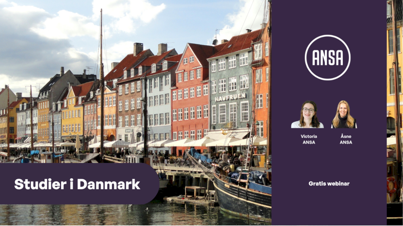Studier i Danmark