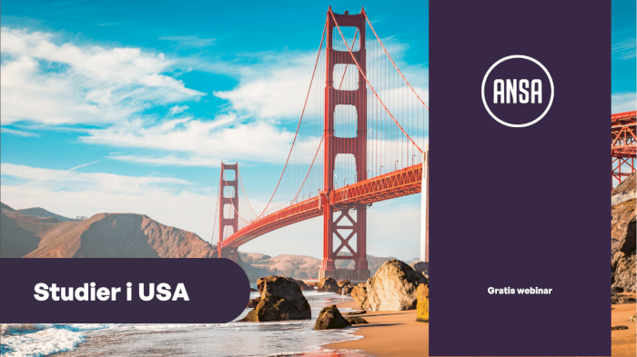 Studier i USA
