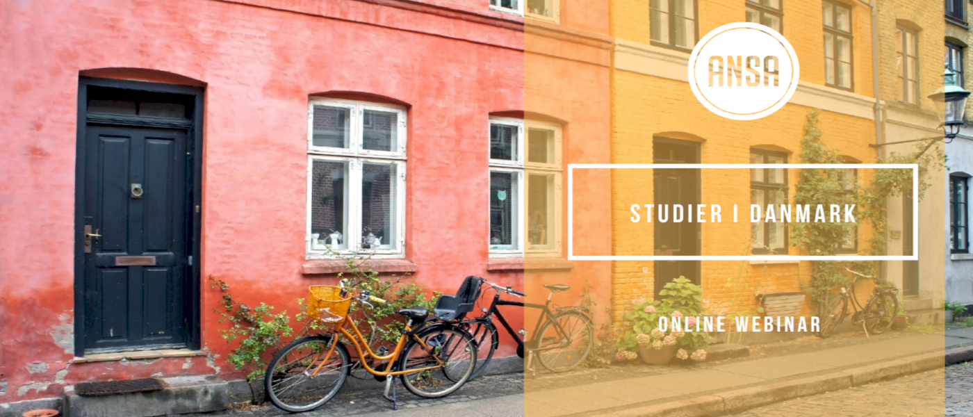 Studier i Danmark